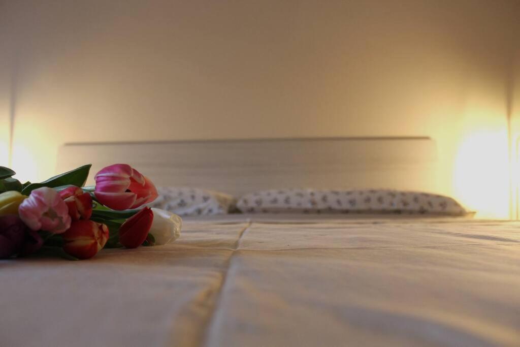 Venere Apartment ベルガモ エクステリア 写真